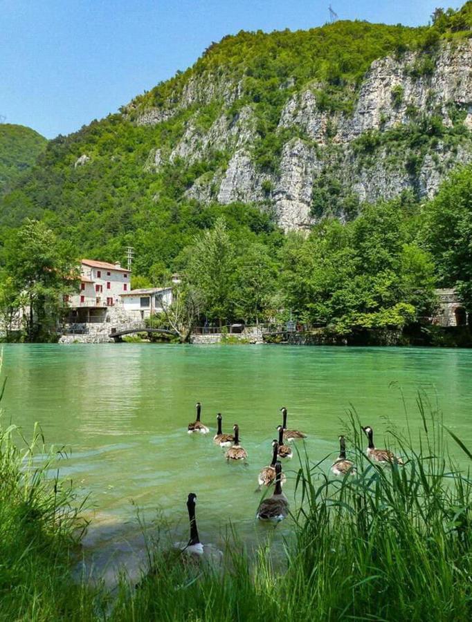 مبيت وإفطار Solagna Casa Sul Fiume County House المظهر الخارجي الصورة